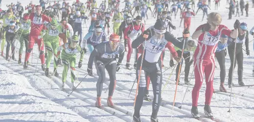 karluv beh  2026.webp